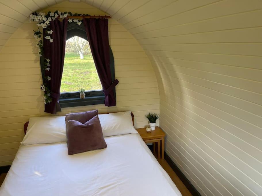 Belle Vista Glamping & Camping York Kültér fotó