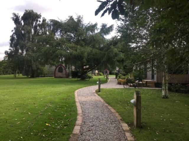 Belle Vista Glamping & Camping York Kültér fotó